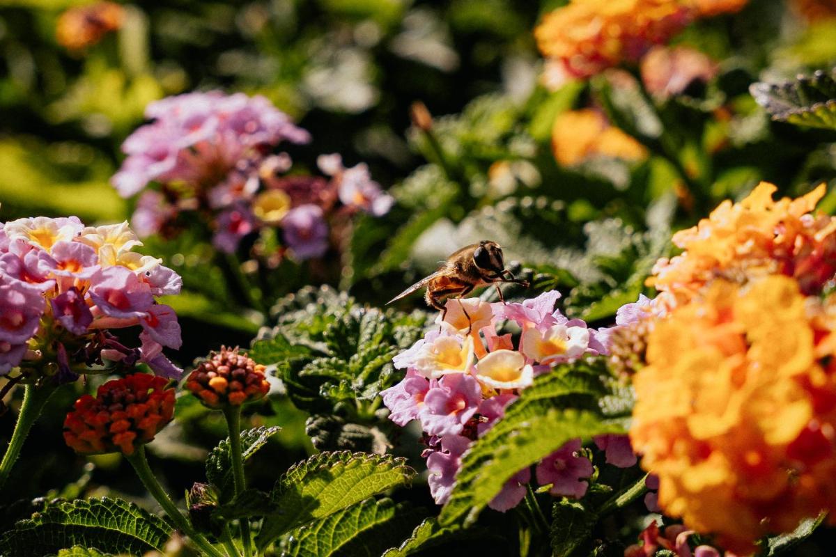 The Phoenicia Malta - The Leading Hotels of the World