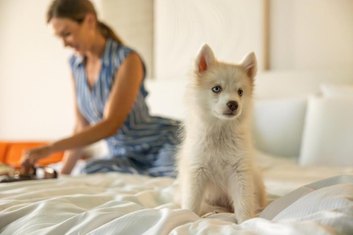 Rezydent Hotel Sopot - MGallery Collection