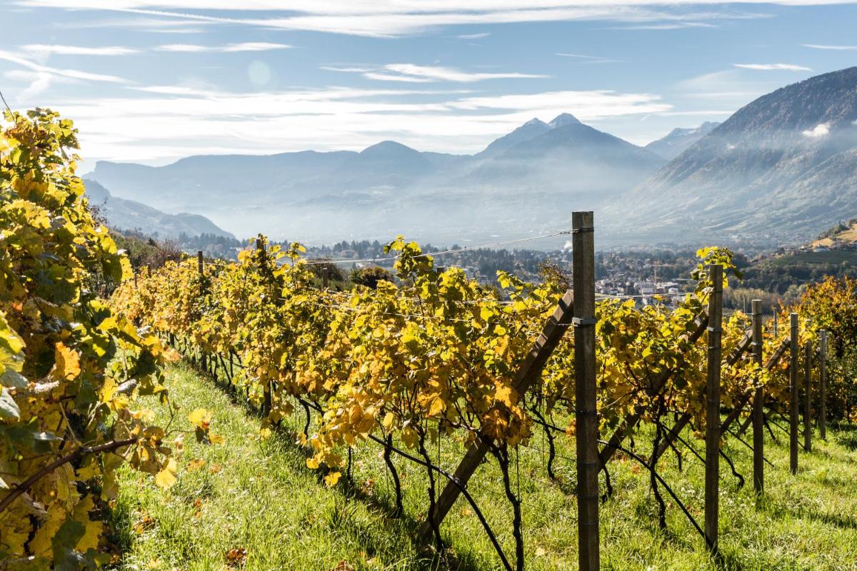 Hotel Rosengarten (Schenna Resort)