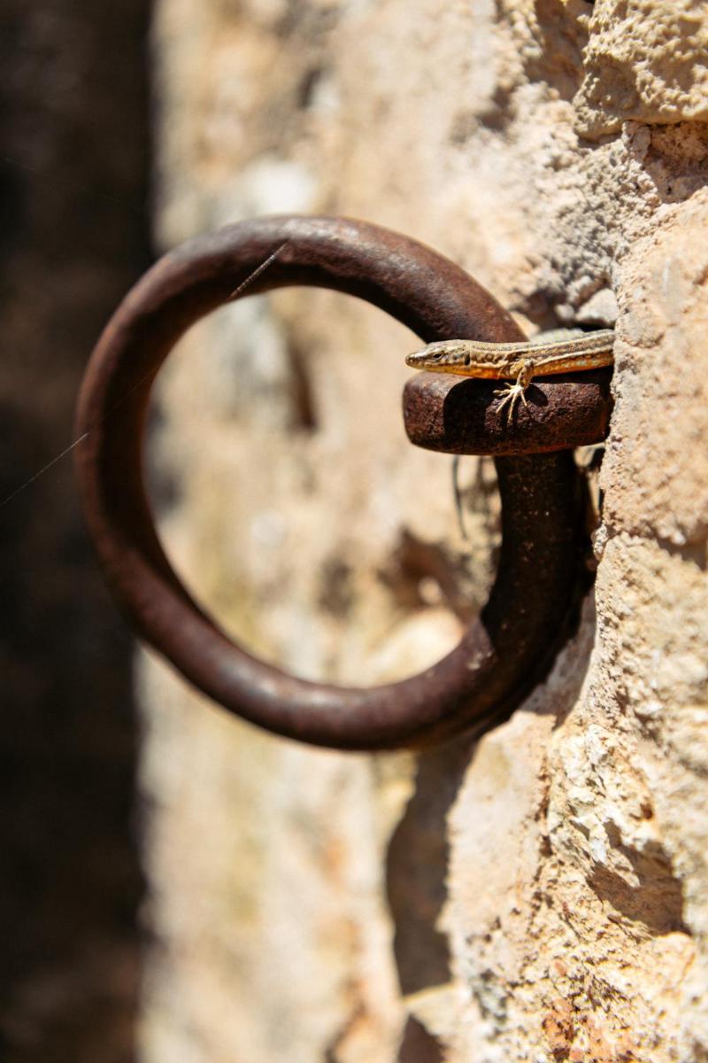 Hotel Rural Can Partit Adults Only-Ibiza