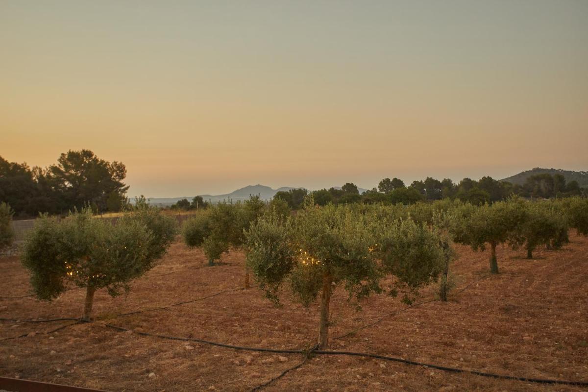 Hotel Rural Es Riquers