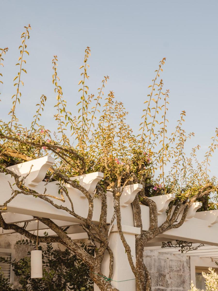 Morvedra Nou Luxury Boutique Hotel - Adults Only