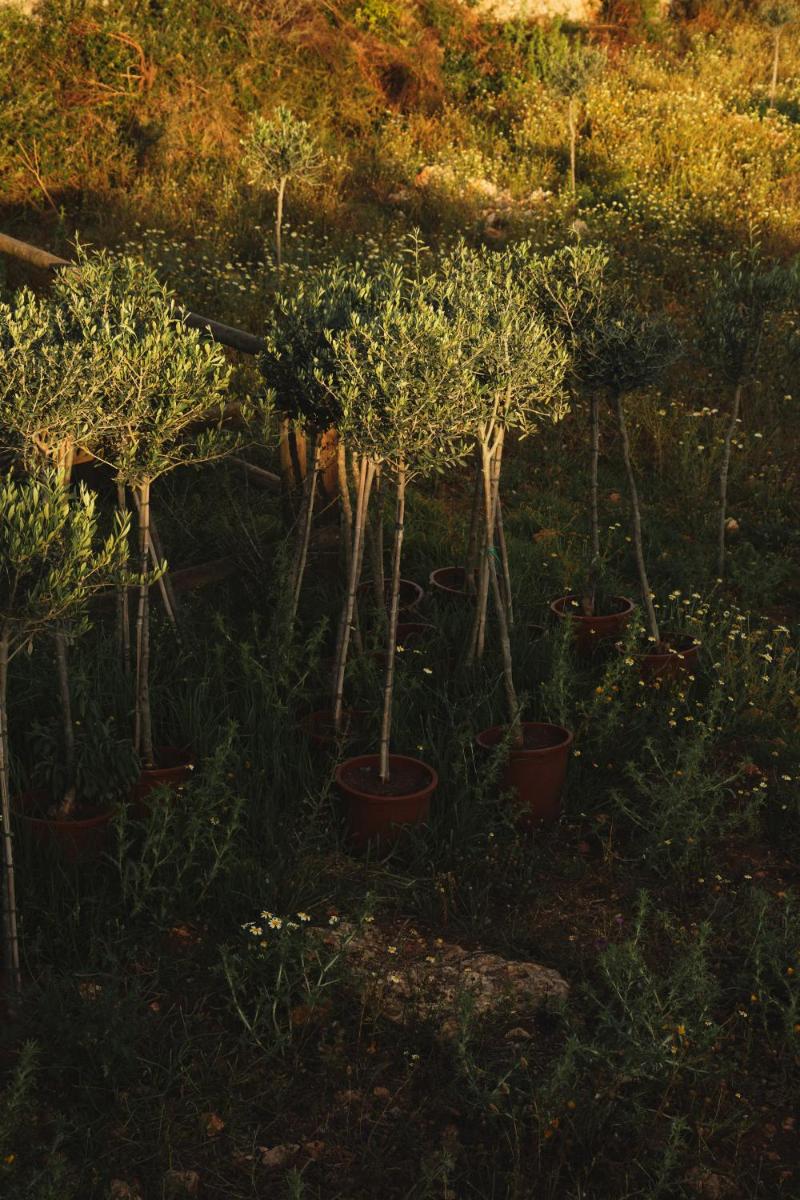 Morvedra Nou Luxury Boutique Hotel - Adults Only