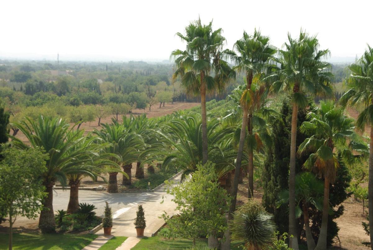 Sa Cabana Hotel & Spa - Adults Only