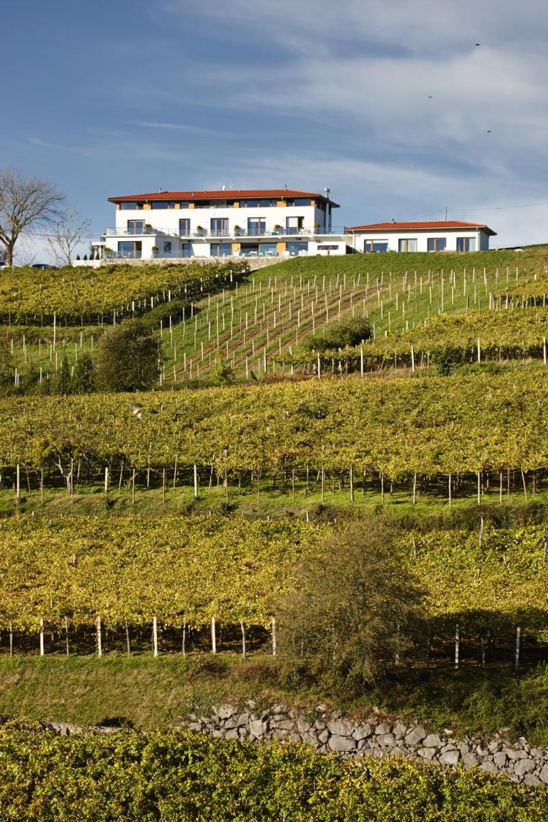 Hotel San Prudentzio