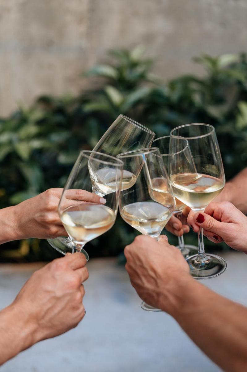 Hotel Santa Ana Tudela