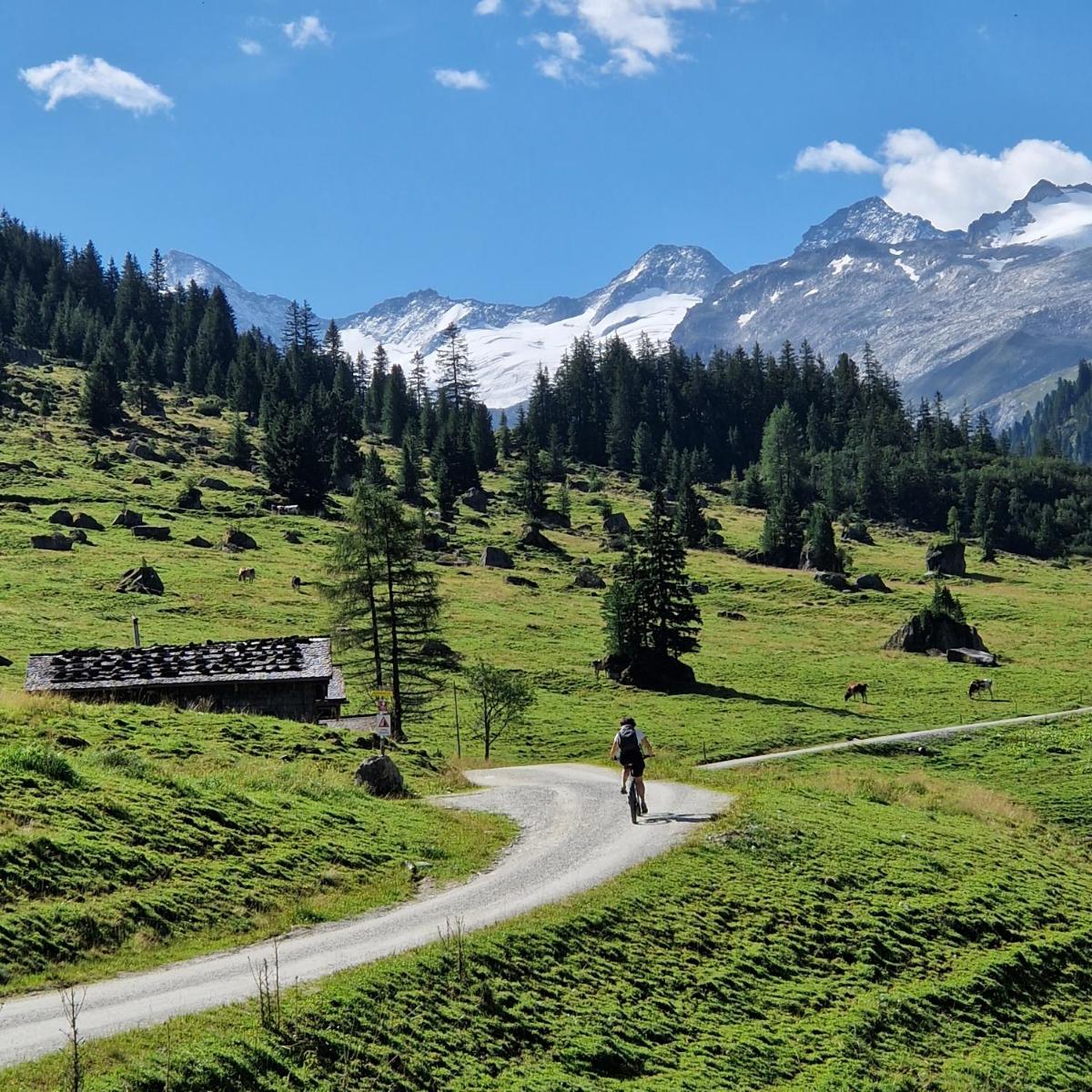 Hotel Schloss Mittersill