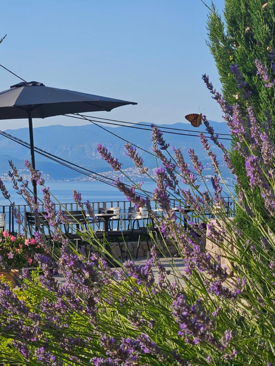 DESIGN hotel VERBENICUM