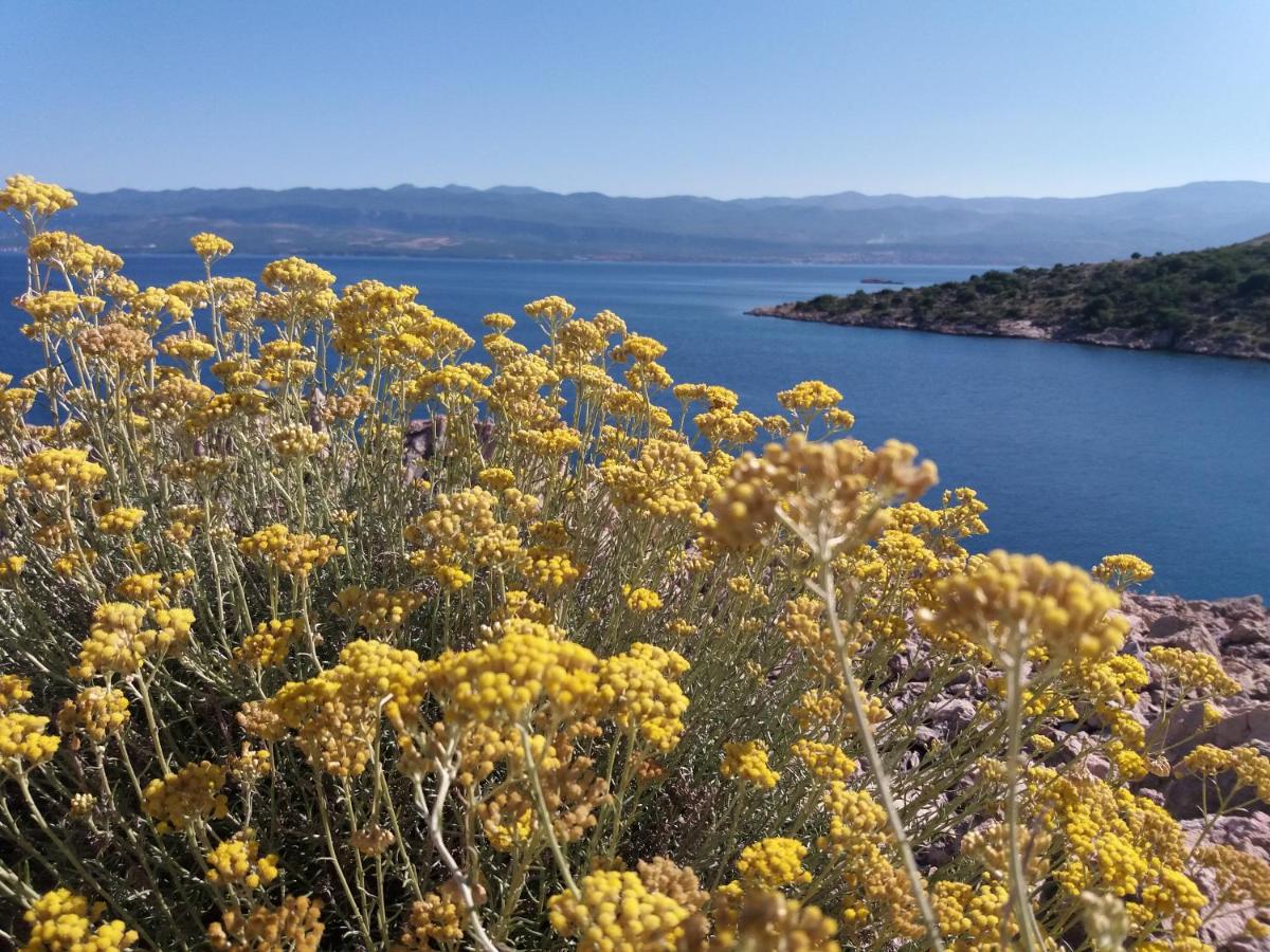 DESIGN hotel VERBENICUM