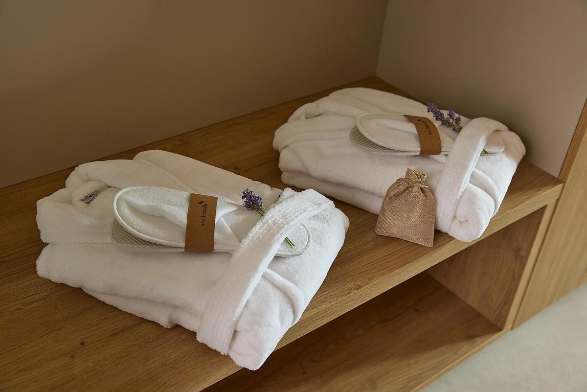 Hotel Wada - Rimski vrelec