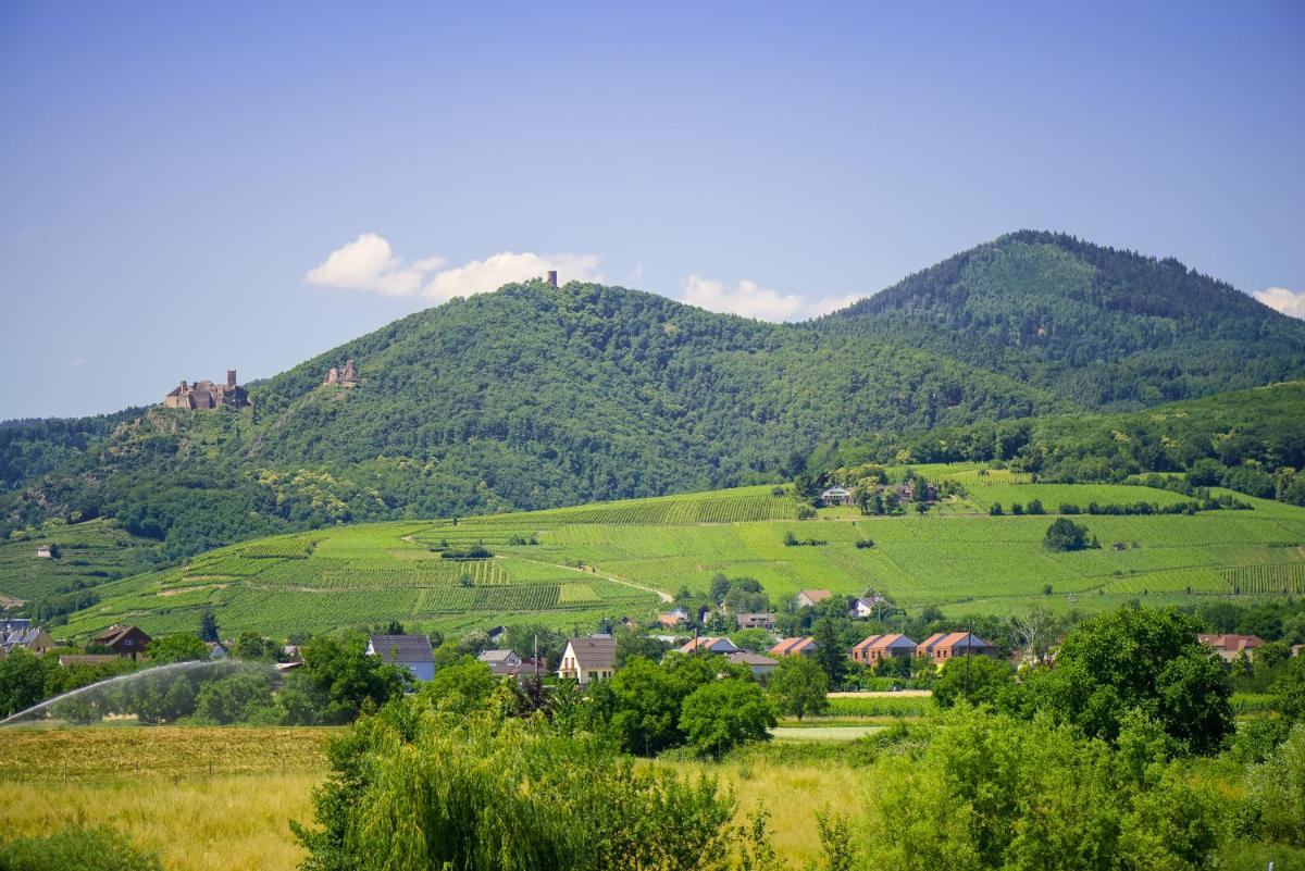 Hôtel Barrière Ribeauvillé