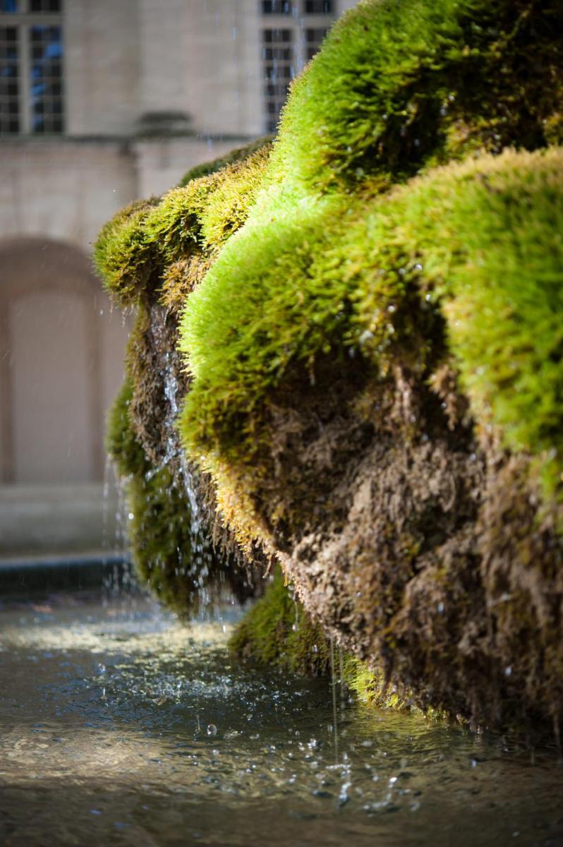 Hôtel Cloitre Saint Louis Avignon