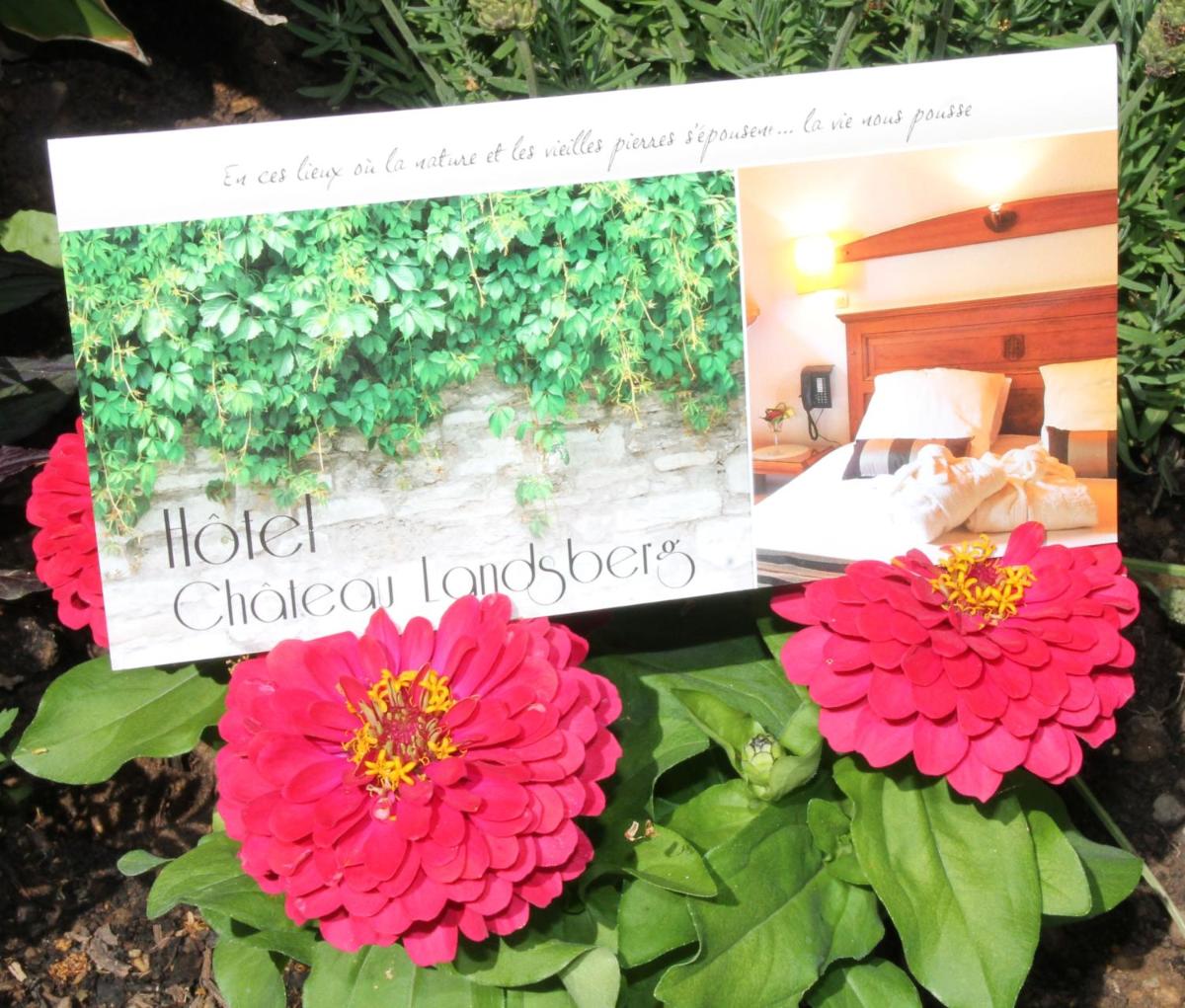 Hôtel & Restaurant Château Landsberg & Spa