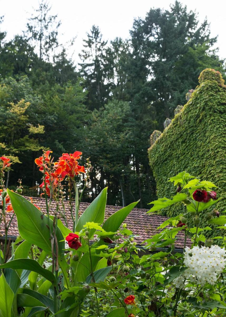 Hôtel & Restaurant Château Landsberg & Spa