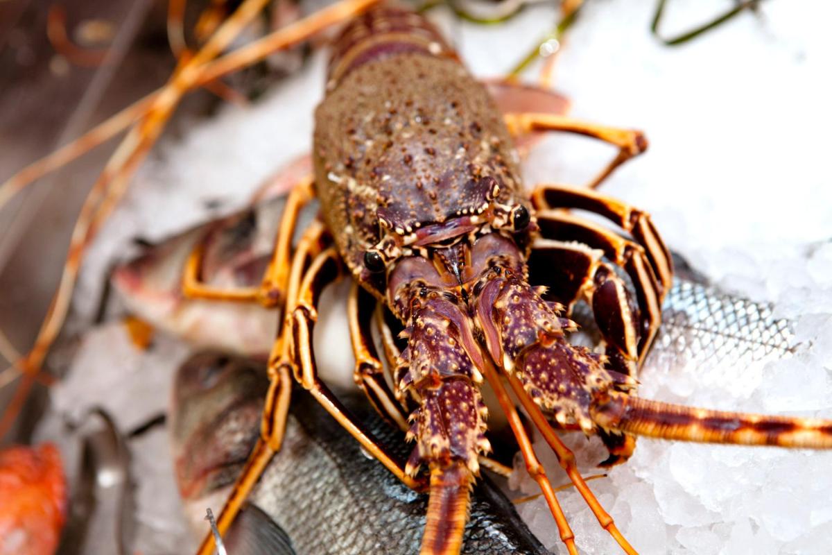 I Bastioni San Domenico - Boutique Hotel