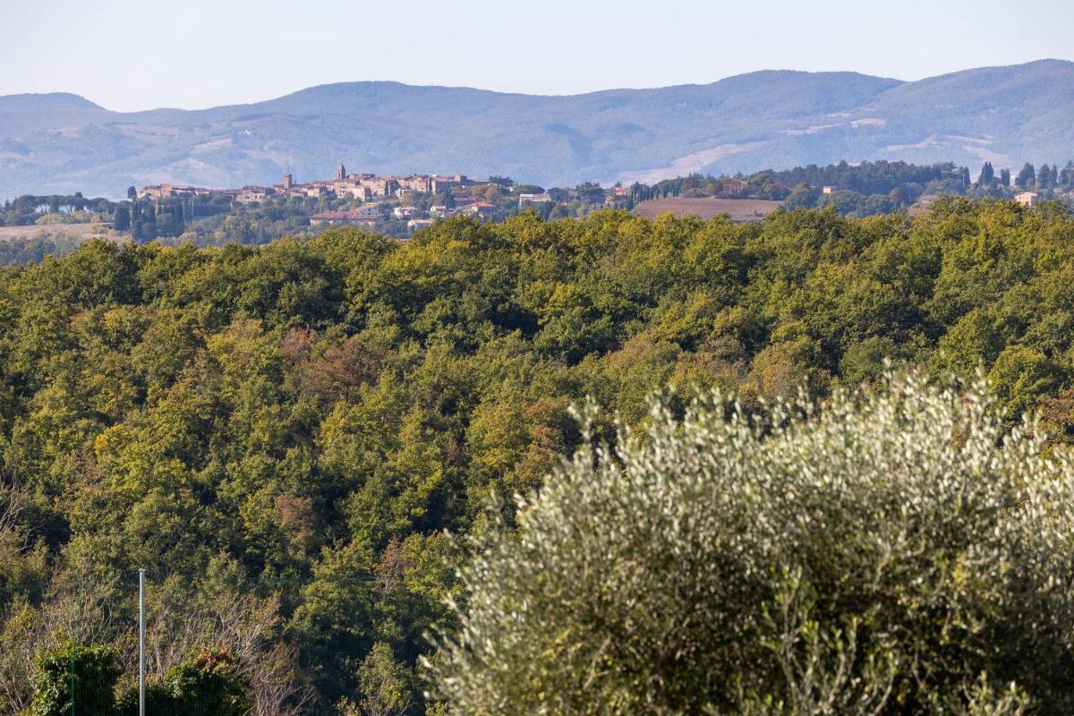 I Borghi dell'Eremo