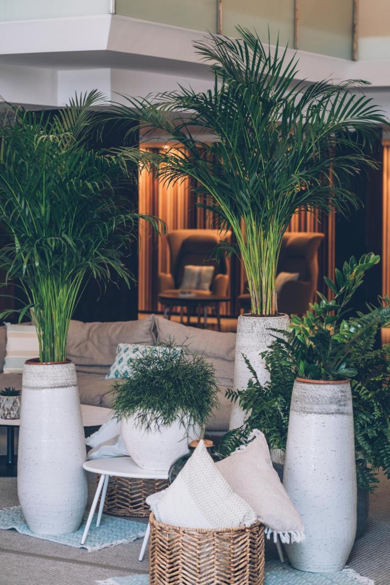 Iberostar Selection Playa de Muro Village