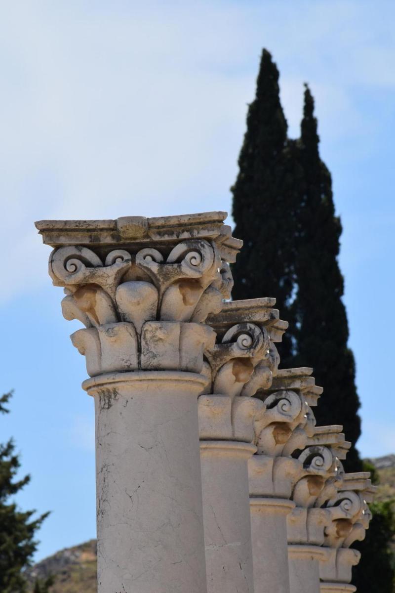 Ikos Aria
