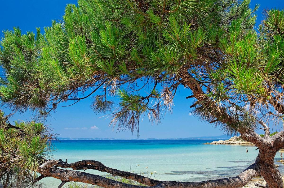 Ikos Oceania
