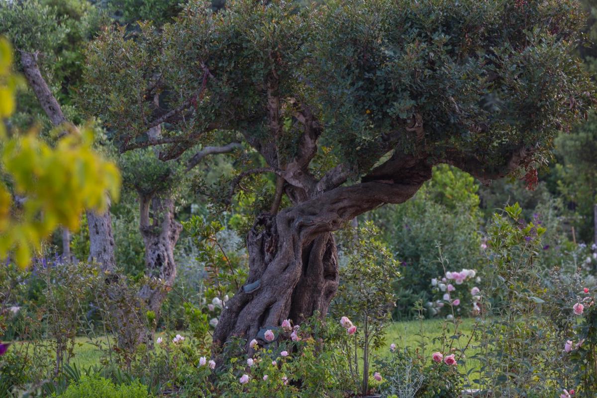 Borgo dei Lecci Puglia