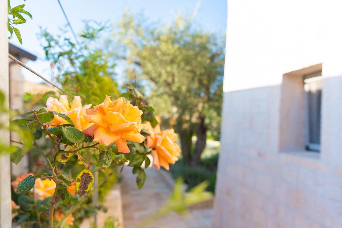 Borgo dei Lecci Puglia