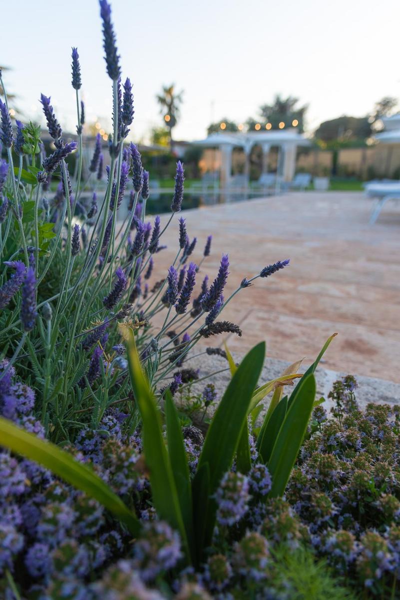 Borgo dei Lecci Puglia