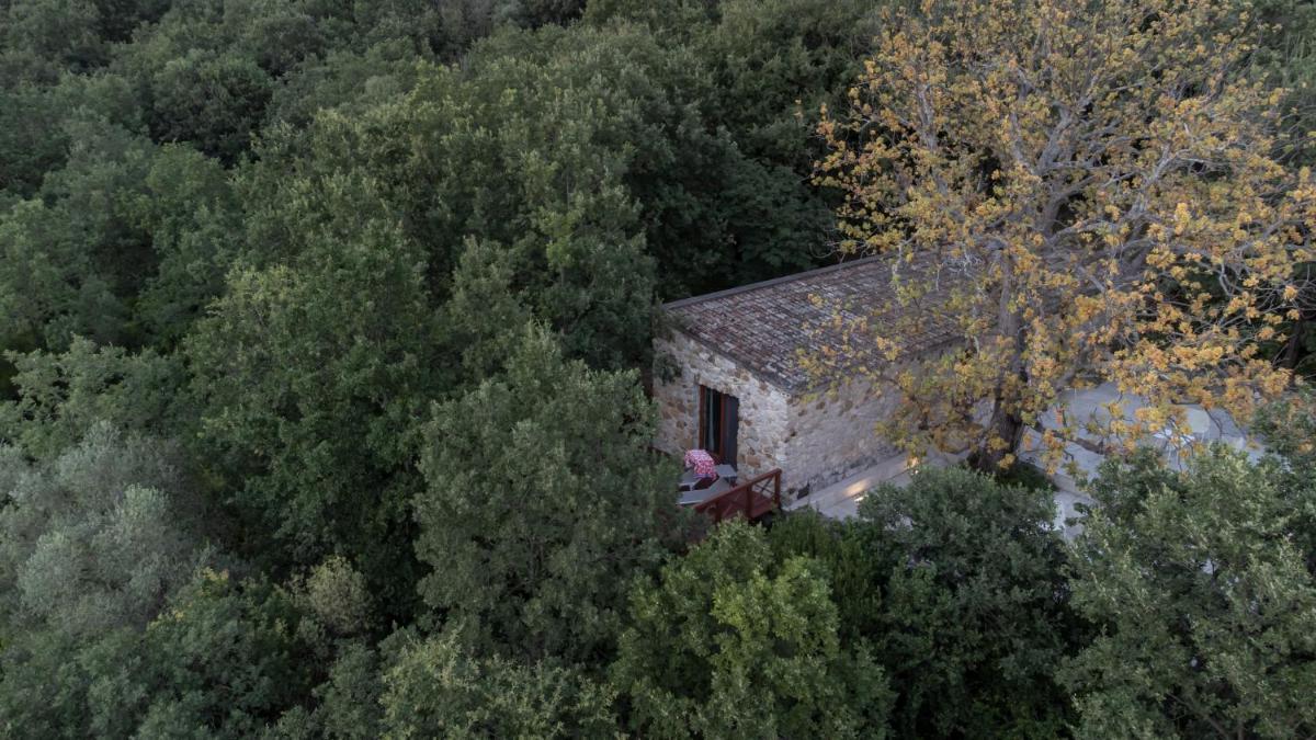 il cannito