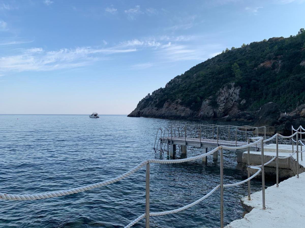 Il Pellicano
