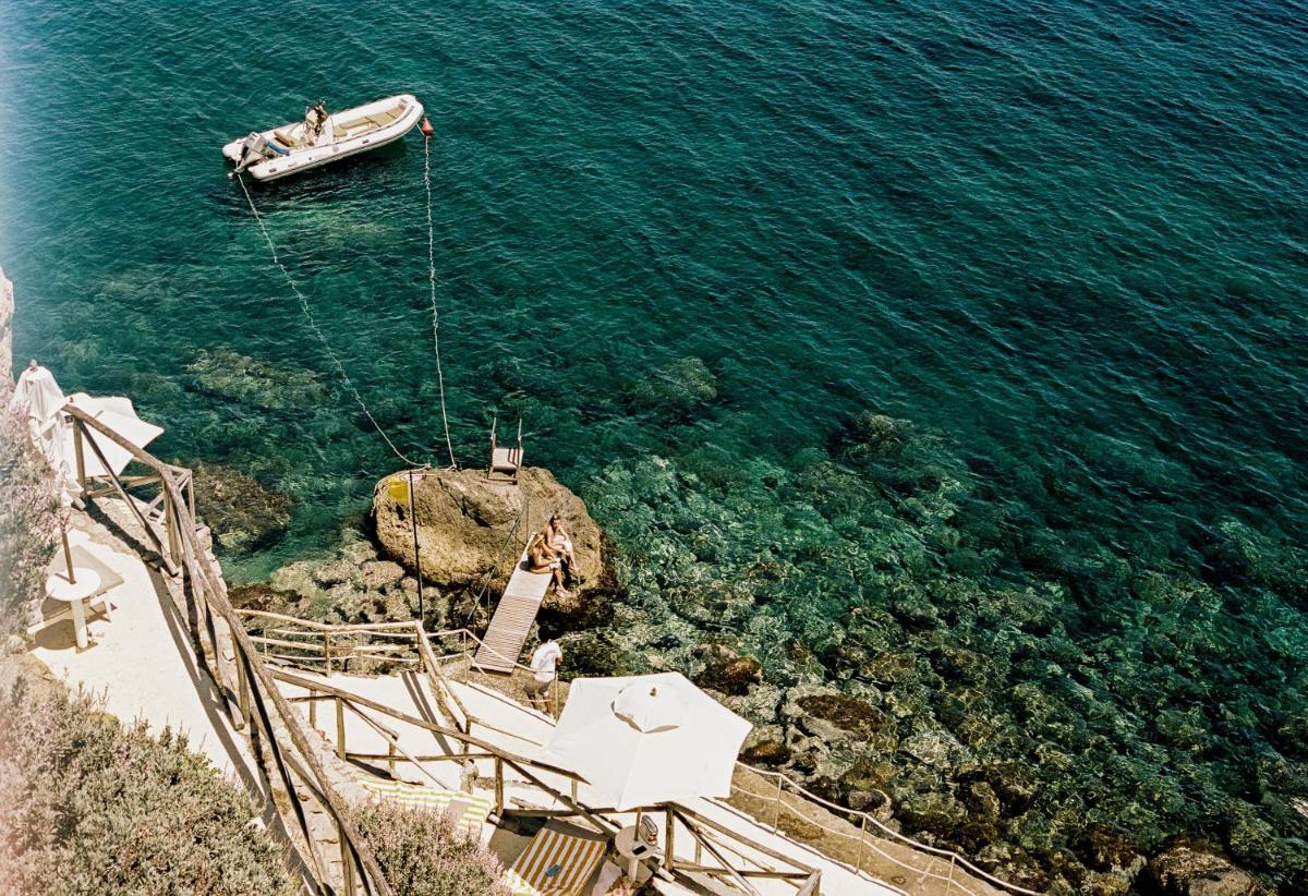Il Pellicano