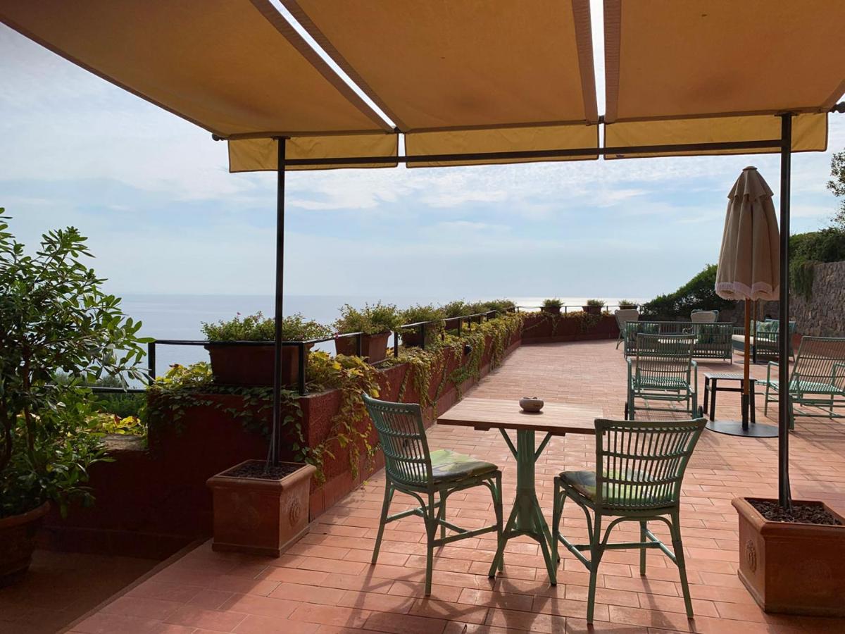 Il Pellicano