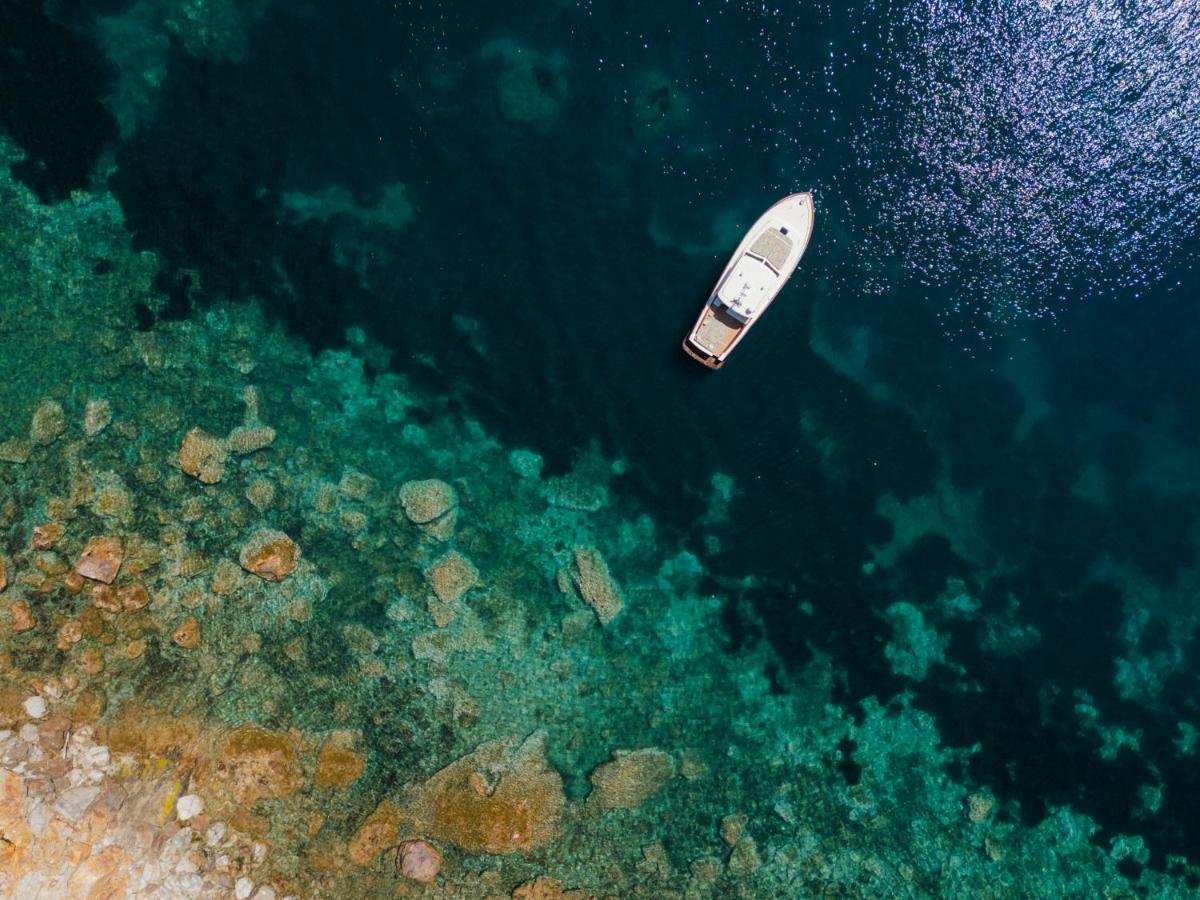 Il Pellicano