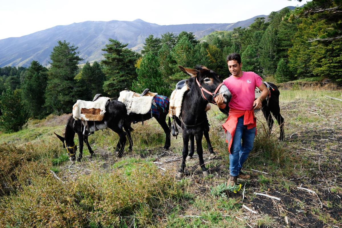 Picciolo Etna Golf Resort & Spa, Curio Collection by Hilton