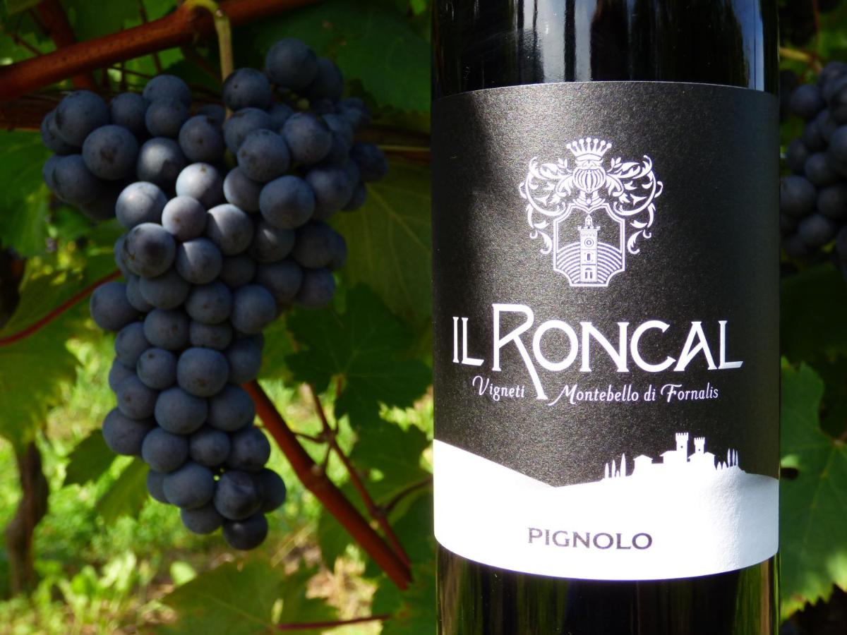 Il Roncal Wine Resort - for Wine Lovers
