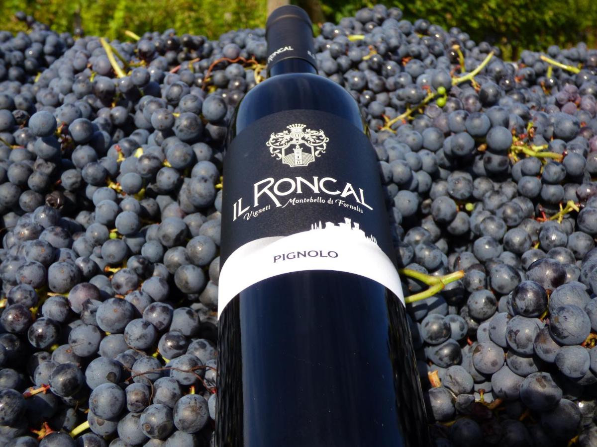 Il Roncal Wine Resort - for Wine Lovers