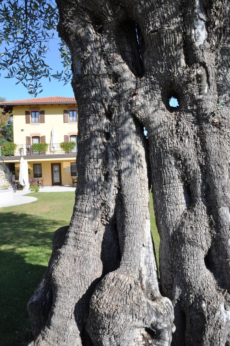 Il Roncal Wine Resort - for Wine Lovers