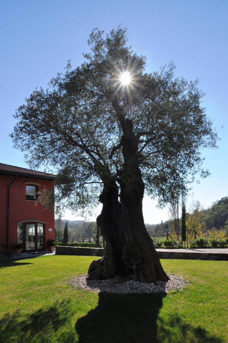 Il Roncal Wine Resort - for Wine Lovers