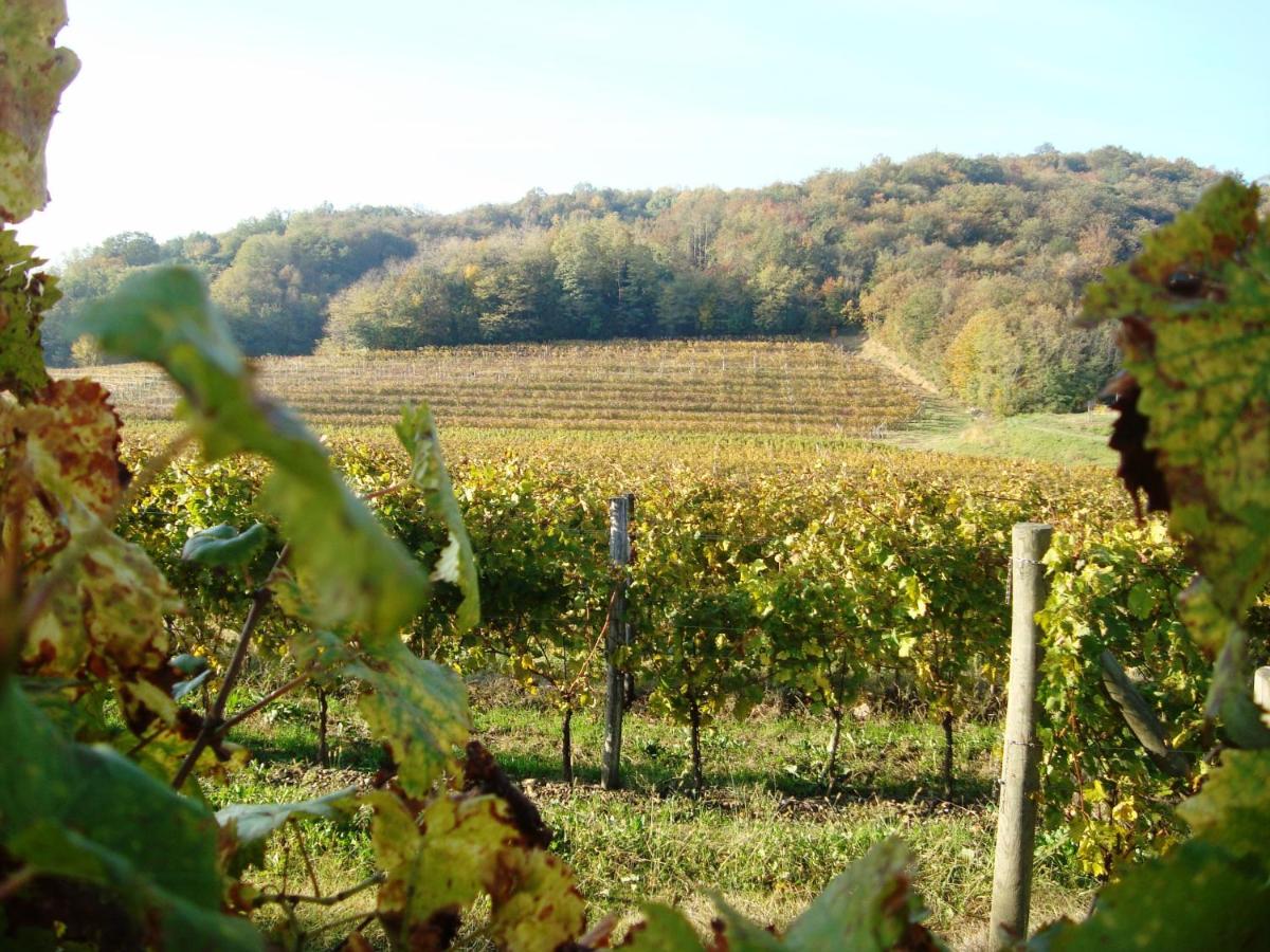 Il Roncal Wine Resort - for Wine Lovers