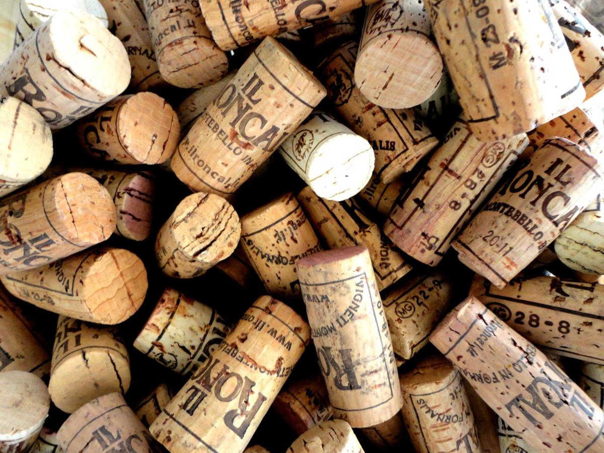 Il Roncal Wine Resort - for Wine Lovers