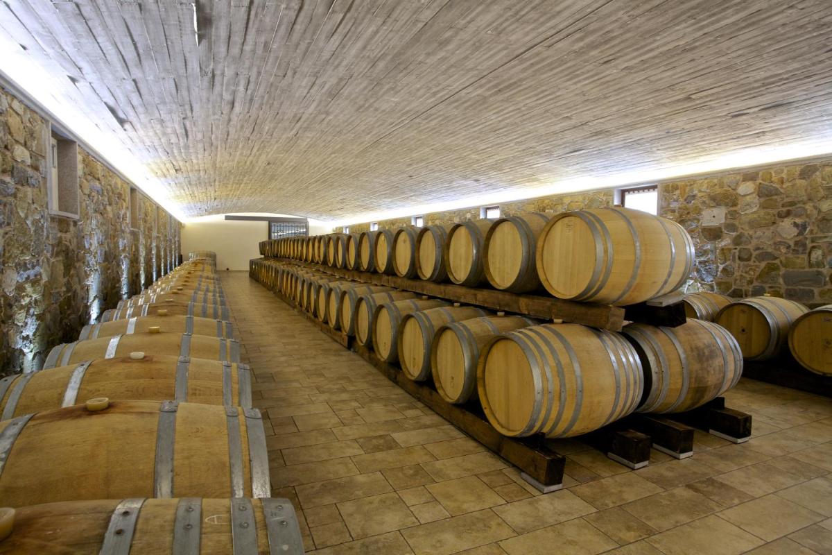 Il Roncal Wine Resort - for Wine Lovers