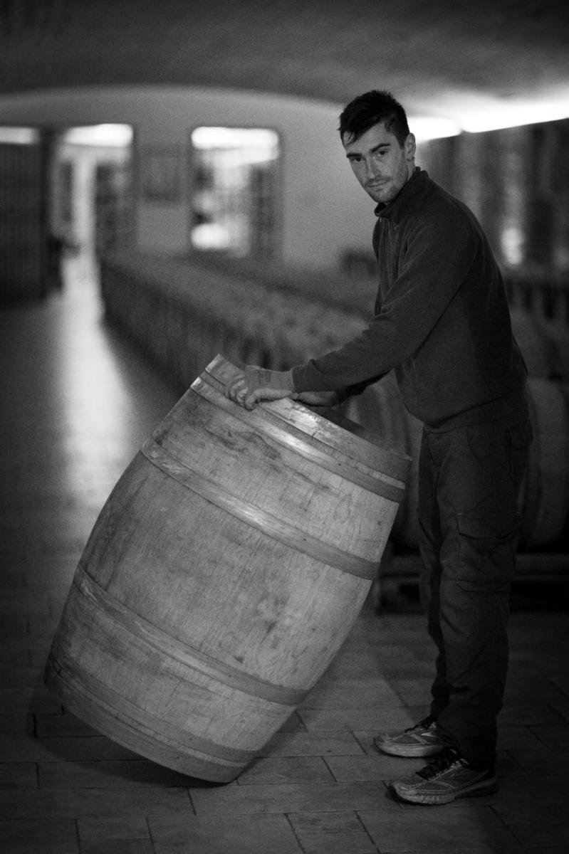 Il Roncal Wine Resort - for Wine Lovers