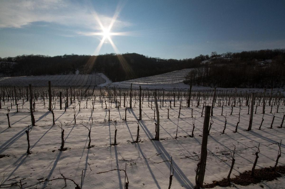 Il Roncal Wine Resort - for Wine Lovers