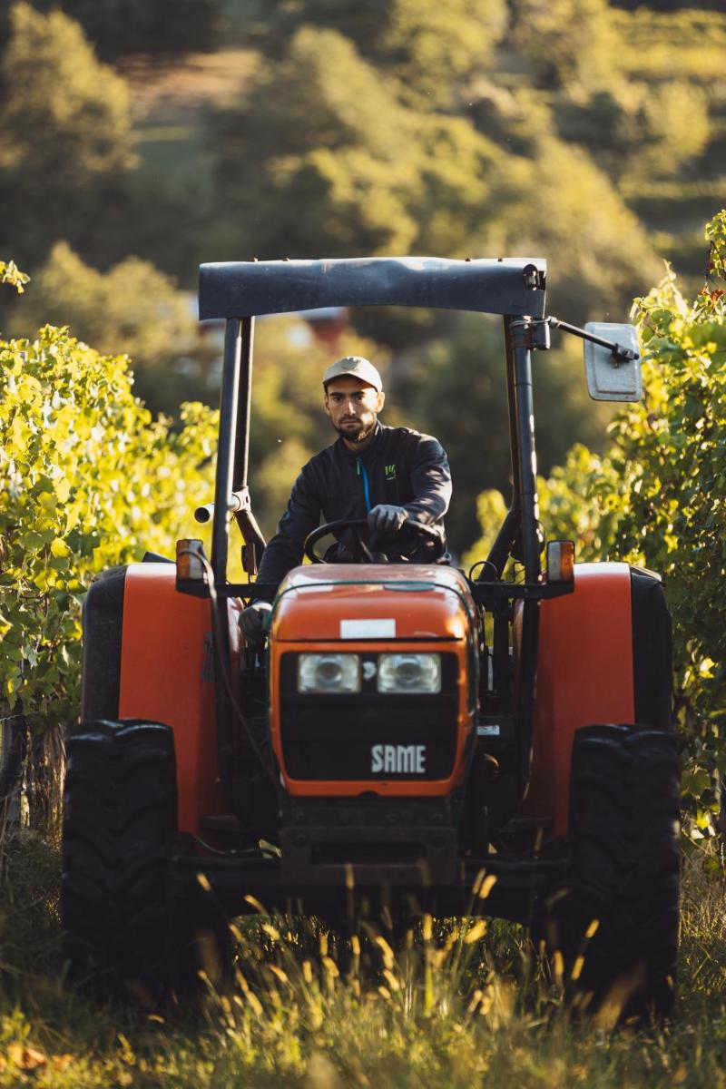 Il Roncal Wine Resort - for Wine Lovers