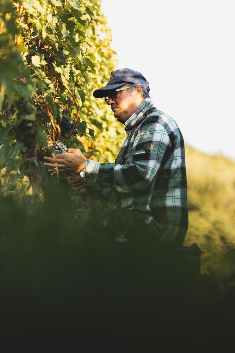 Il Roncal Wine Resort - for Wine Lovers