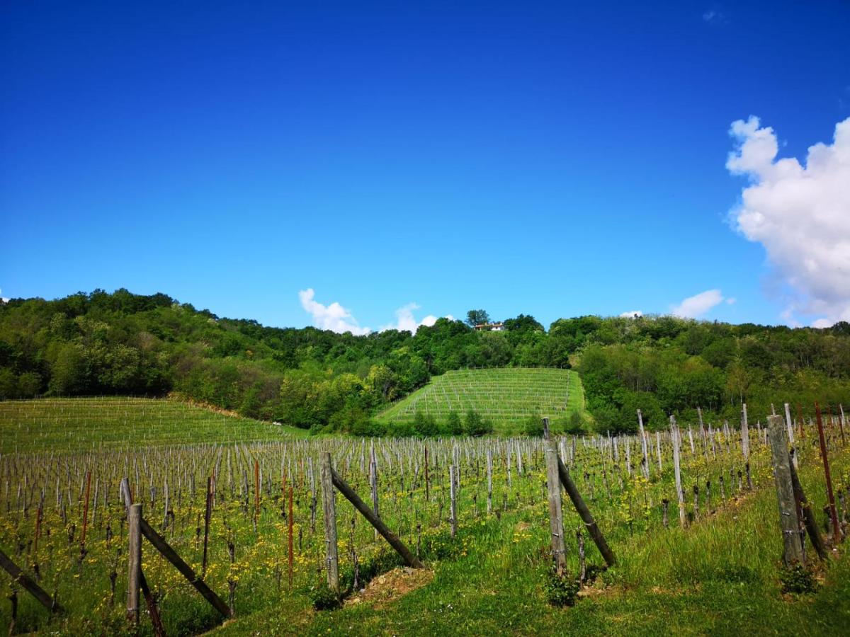 Il Roncal Wine Resort - for Wine Lovers