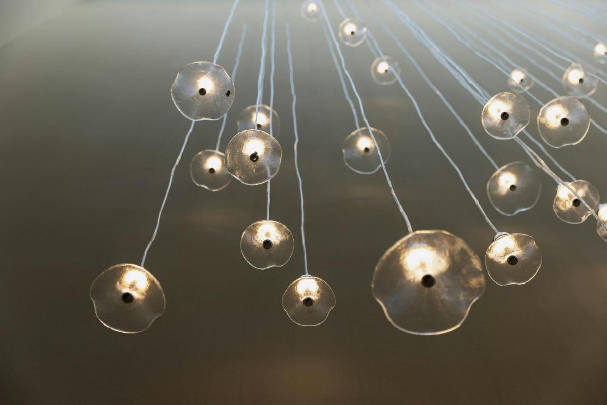 Imperial Riding School, Autograph Collection