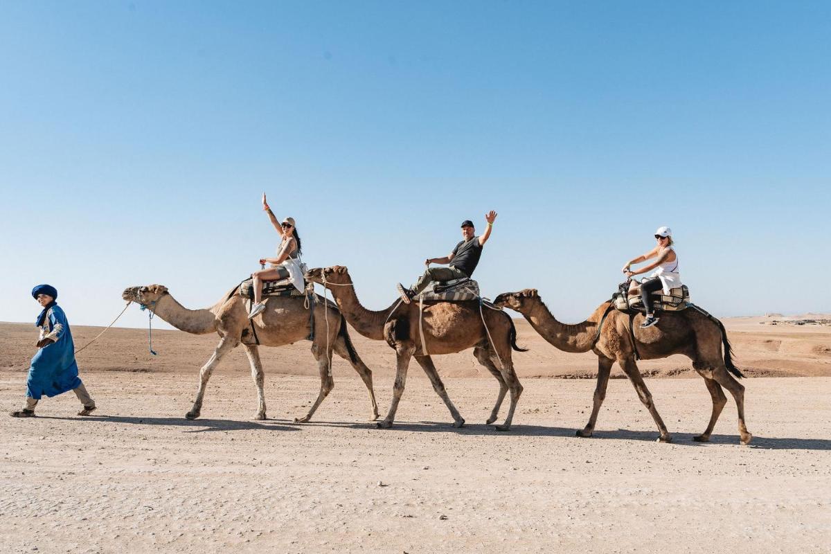 Inara Camp - Restaurant - Desert activities - Heated pools