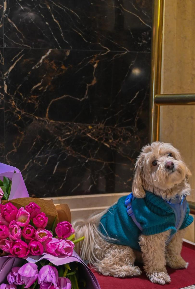 InterContinental - Kyiv by IHG