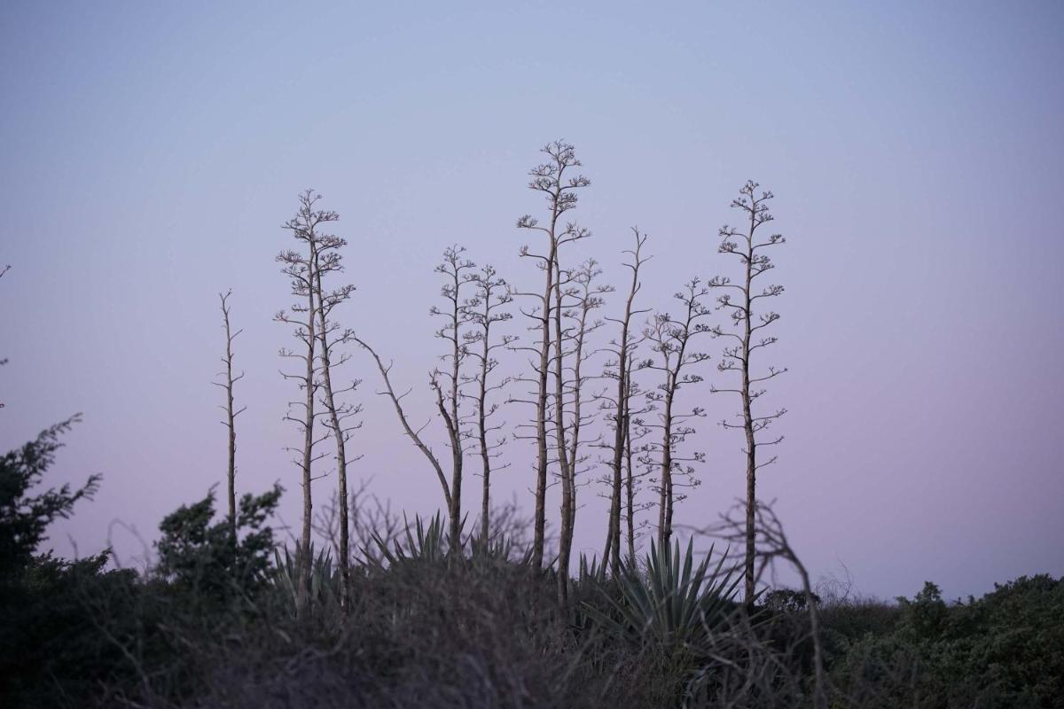 Is Arenas Private Golf Foresterie - Unlimited golf included