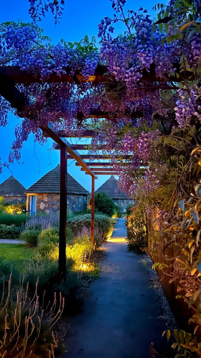 Is Cheas wine farm boutique hotel