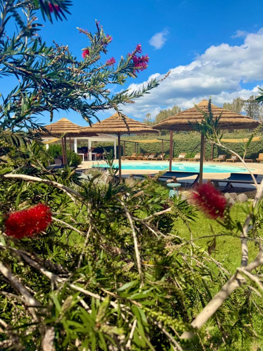 Is Cheas wine farm boutique hotel